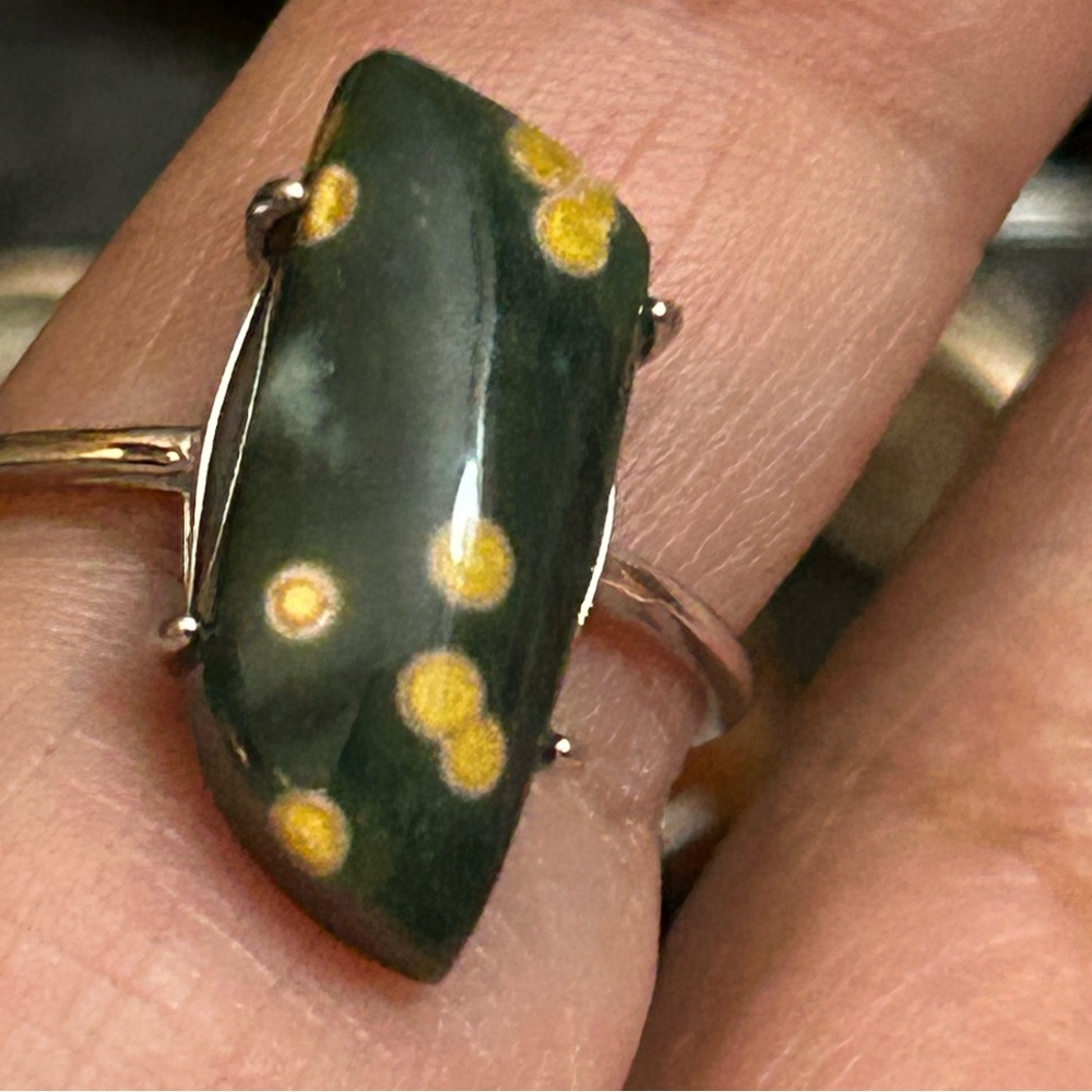 Beautiful ocean jasper adjustable 925 ring